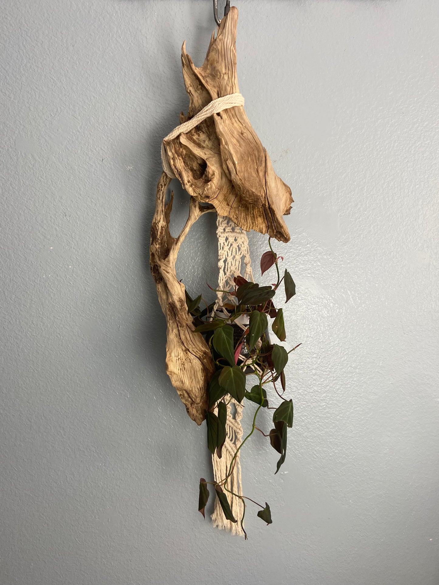 Driftwood Macrame Planter - Black