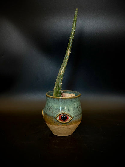 Eyeball planter - prickle pear