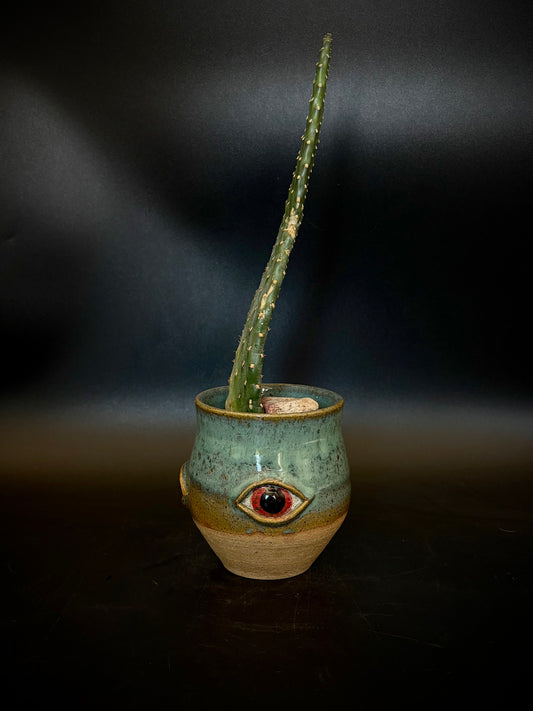 Eyeball planter - prickle pear