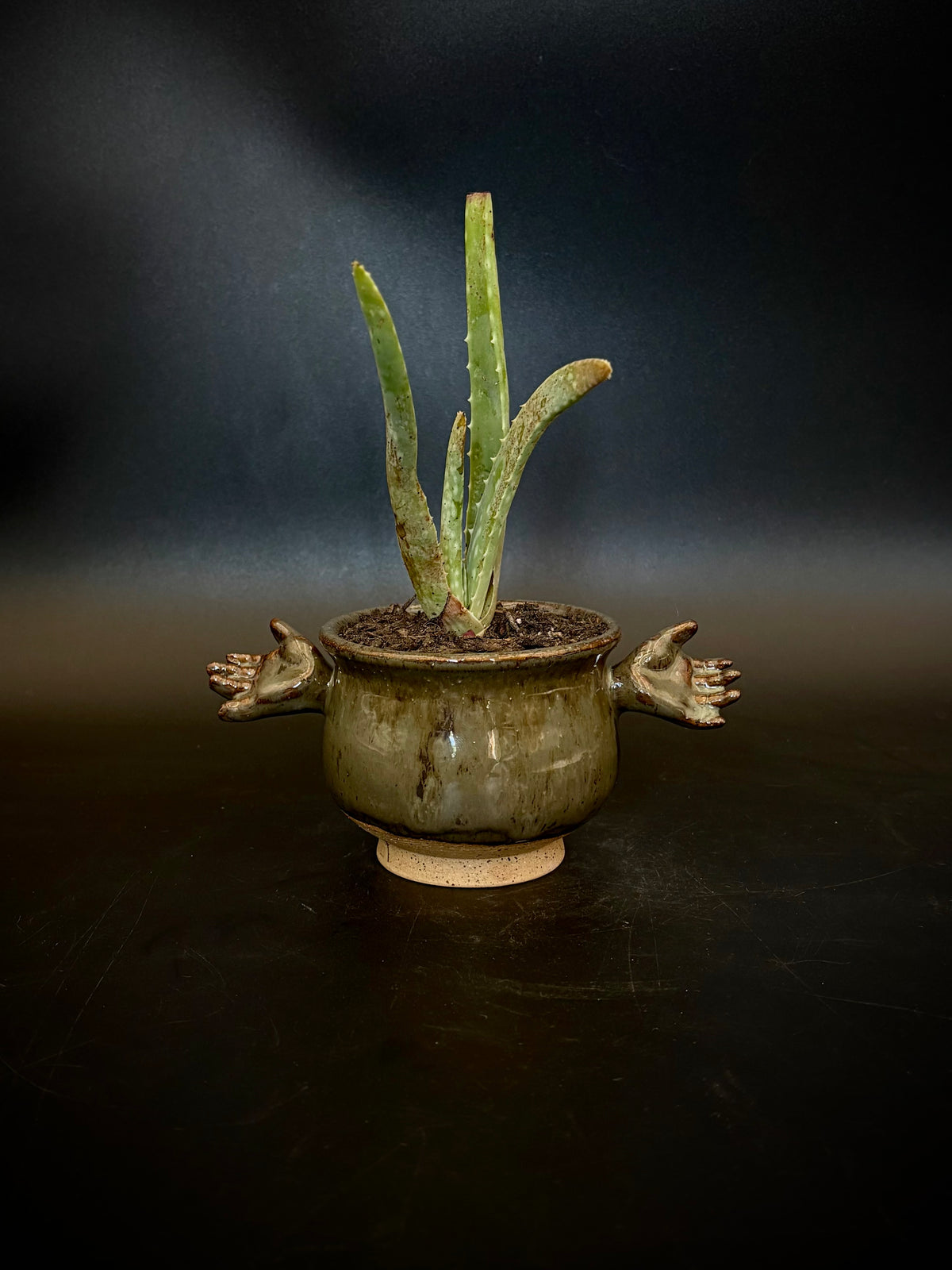 Baby hand planter - aloe