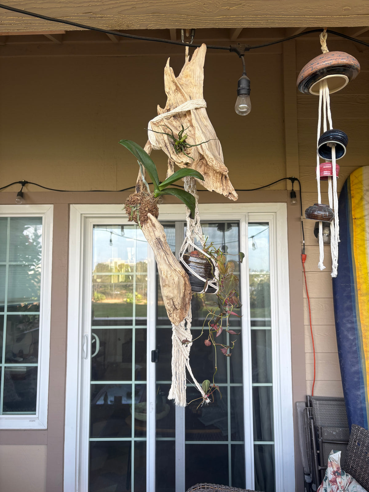 Driftwood Macrame Planter