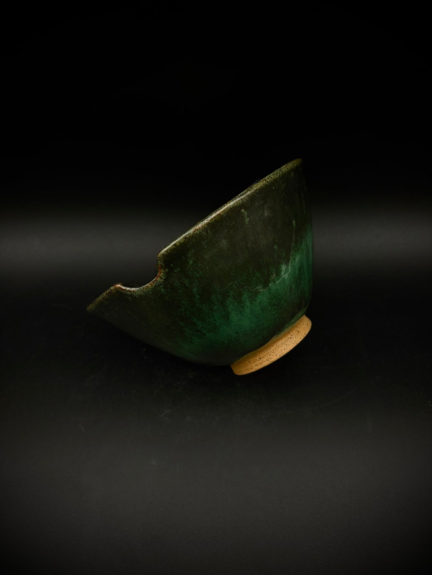 Monstera ramen bowl