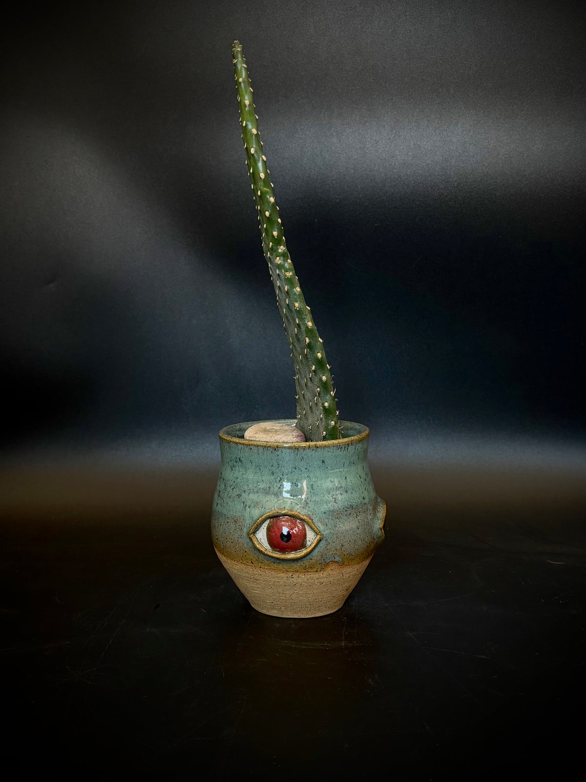 Eyeball planter - prickle pear