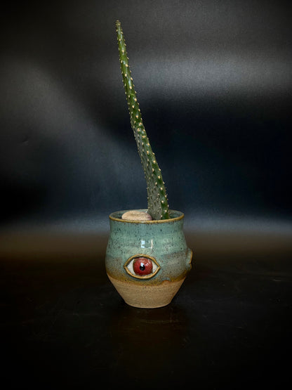 Eyeball planter - prickle pear