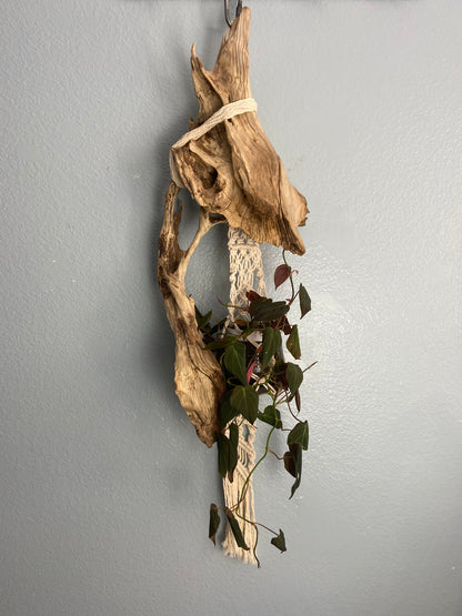 Driftwood Macrame Planter - Black