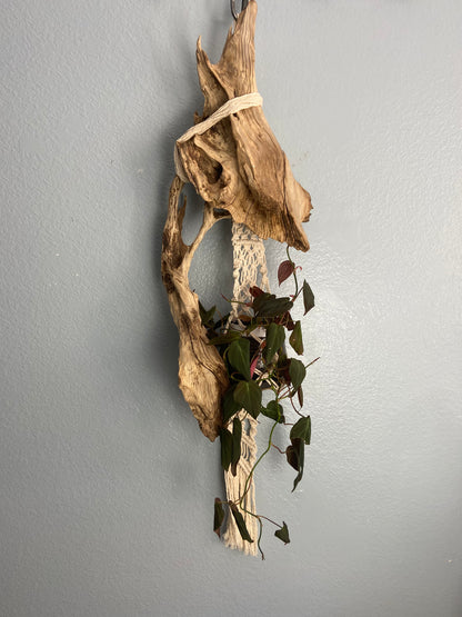 Driftwood Macrame Planter - Black