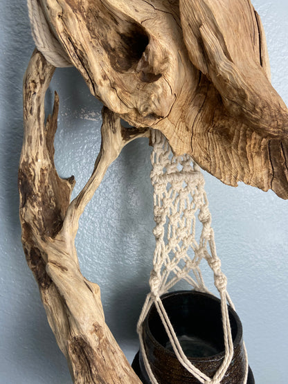 Driftwood Macrame Planter - Black